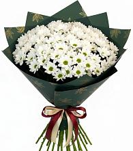 Букет цветов из:  Хризантемы #REPLACE_PRED# Старонижестеблиевской