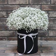 Цветочная композиция из Гипсофила в шляпной коробке в Старонижестеблиевской