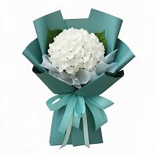 Букет цветов из:  Гортензия #REPLACE_PRED# Старонижестеблиевской
